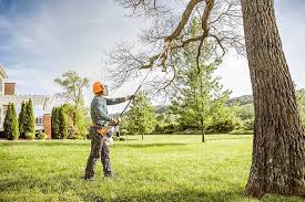 Trusted Grove City, OH Tree Removal and Landscaping Services Experts